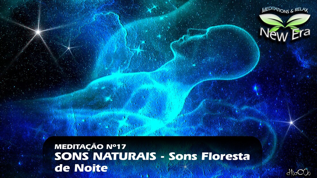 Sons da Floresta de Noite - SONS NATURAIS